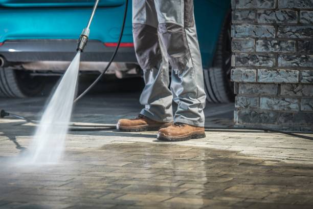Best Gutter Cleaning  in Lanark, IL
