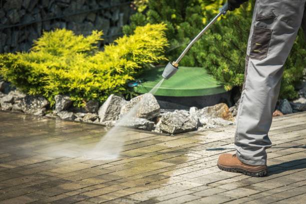 Best Pre-Holiday Cleaning  in Lanark, IL