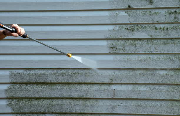 Best Patio and Deck Pressure Washing  in Lanark, IL
